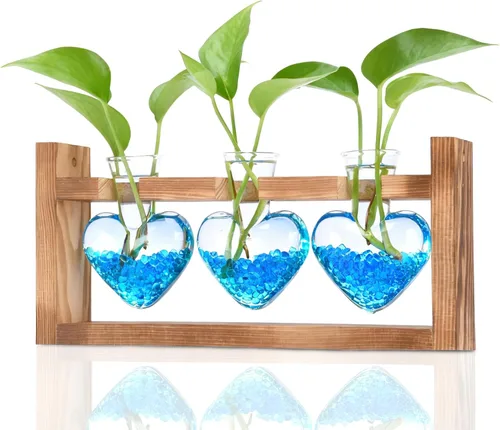 Miniatura 13 de Nacome Estaciones de propagación de terrarios de plantas: regalos del día de la madre para mamá, amantes de las plantas, mujeres, esposa, hija