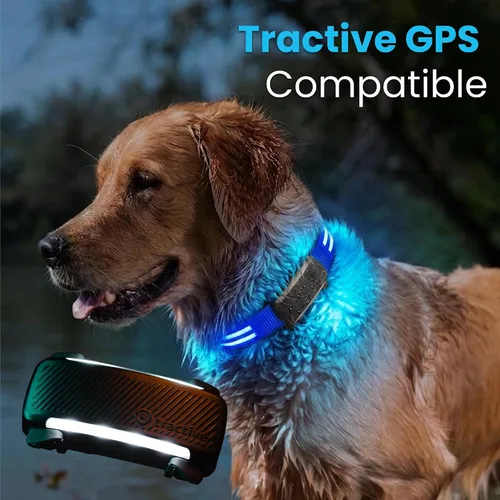 Miniatura 5 de Tractive Collar de perro con luz LED recargable USB impermeable (azul)