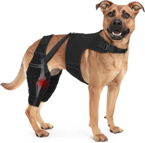Rodillera para perro con soporte de doble pierna con chaleco, estabilizador ortopédico de articulaciones para desgarro de ligamento cruzado