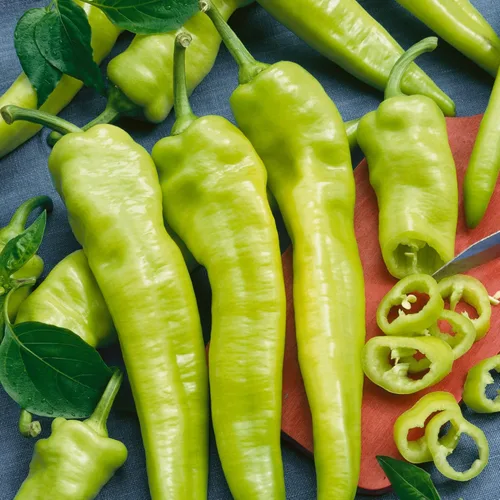 Semillas de pimienta húngara orgánica húngara de cera caliente – 0.25 onzas ~ 1250 semillas – Sin OMG, certificado orgánico, reliquia – Huerto –