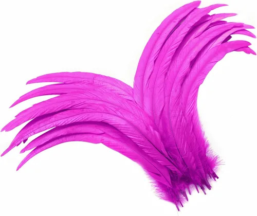 Miniatura 17 de Holmgren Plumas de Cola de Gallo Color Blanco Hueso - 60 piezas Plumas de Cola de Gallo Grandes de 12-14 pulgadas al Por Mayor para Manualidades