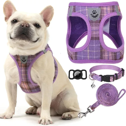 Miniatura 8 de EXPAWLORER Arnés Clásico de Plátanos para Cachorros - Juego de Arnés y Correa para Perros Pequeños - Juego de Collar y Correa para Perros con Azul