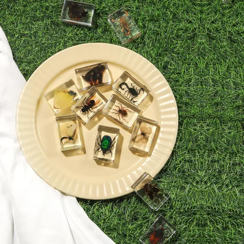 Miniatura 4 de Colección de 12 piezas de insectos en resina, juego educativo de especímenes de insectos para niños, perfecto para preescolar, ciencia de aula