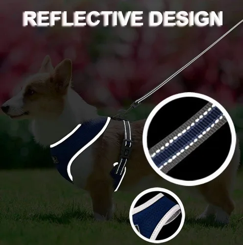 Miniatura 3 de Juego de arnés y correa para cachorros, malla suave transpirable de cuerpo completo, arnés para perros pequeños y medianos, ajustable, reflectante