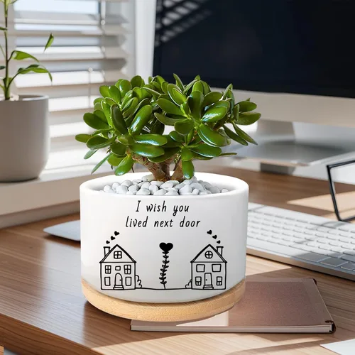 Miniatura 3 de Regalos para Amigas, Desearía Que Vivieras al Lado, Linda Maceta de Suculenta, Maceta de Flores, Regalos de Amistad para Relación a Larga Distancia