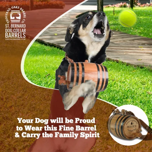 Miniatura 7 de St Bernard - Collar de barril de whisky para perro, 'M.U.T.T.' - Dispensador de barril de roble de 1/2 litro para perros San Bernardo con correa