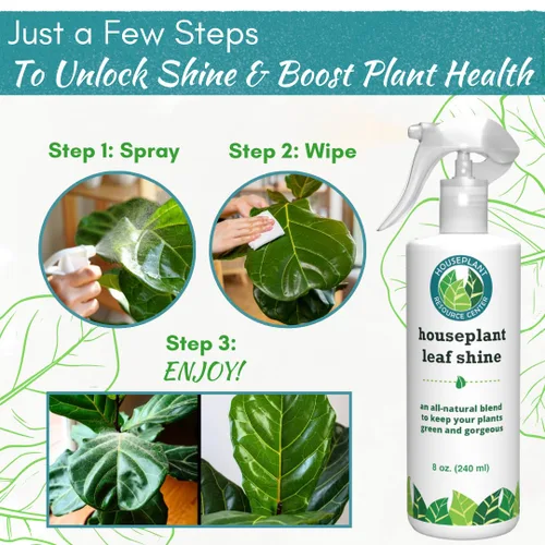 Miniatura 5 de Houseplant Leaf Shine Spray – Limpiador de hojas totalmente natural y brillo para un brillo saludable y una mejor fotosíntesis Perfecto