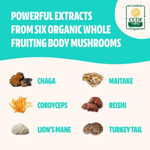Miniatura 4 de FreshCap Mushrooms Paquete energético (cápsulas Cordyceps y cápsulas de complejo de hongos definitivos)