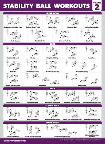 Miniatura 6 de Palace Learning Paquete de 2 ejercicios de entrenamiento de pelota de yoga Volumen 1 y Volumen 2 - Rutina de pelota de estabilidad - Gráficos