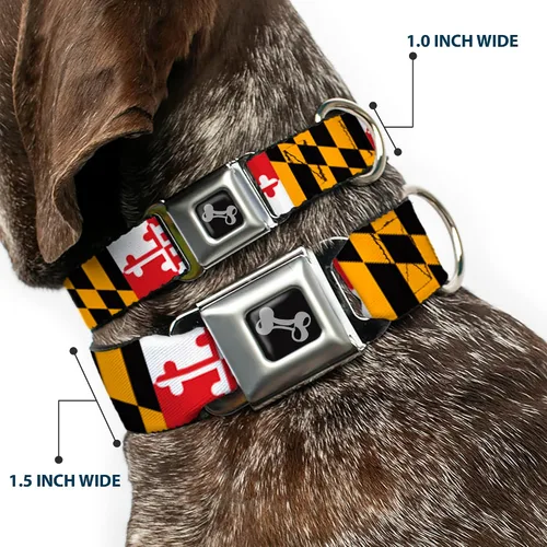 Miniatura 2 de Collar de perro hebilla de cinturón de seguridad Maryland Banderas 9 a 15 pulgadas 1.0 pulgadas de ancho