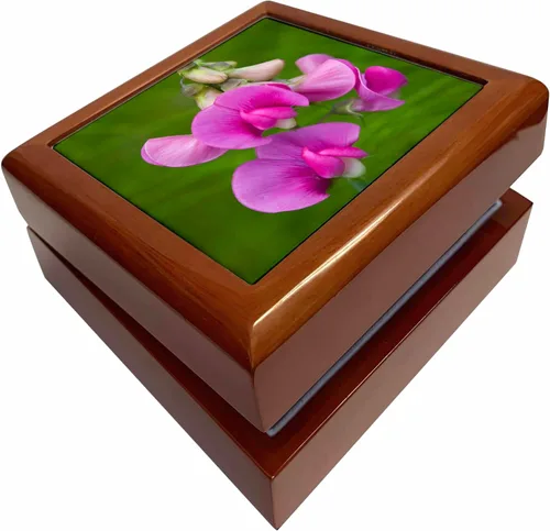 3dRose WA, Redmond, Sweet Pea, flower - US48 JWI2152 - Jamie and Judy Wild, Jewelry Box jb-96165-1