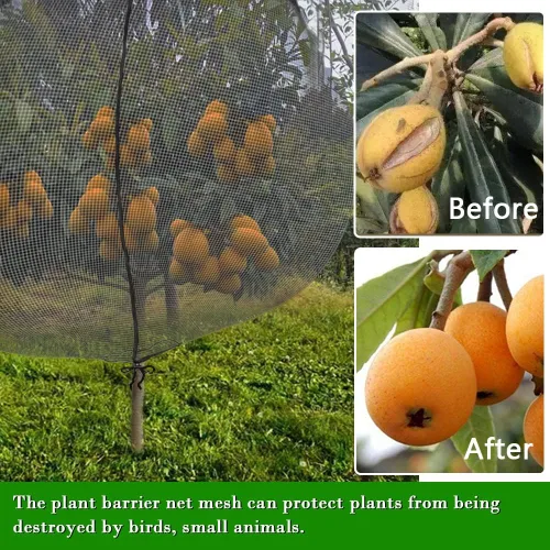 Miniatura 3 de Cubiertas de red para árboles frutales con cremallera para proteger de ardillas y pájaros, red grande para árboles frutales, protección de red, Negro