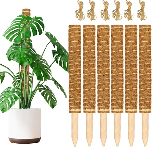 Miniatura 12 de JJGoo Poste de musgo para plantas Monstera, paquete de 2 postes de soporte para plantas de 23.6 pulgadas, poste de tótem de fibra de coco extensible