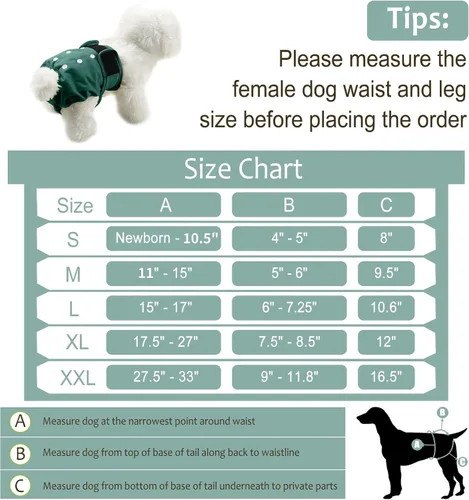 Miniatura 17 de Pañales lavables para perros, para hembras caninas, reutilizables, para periodo de celo, altamente absorbentes, para incontinencia, con broches