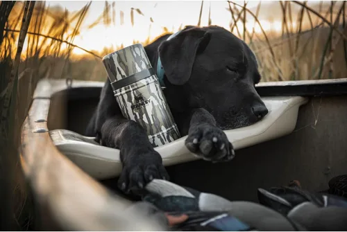Miniatura 4 de STANLEY - Recipiente para alimentos con aislamiento al vacío, acero inoxidable 18/8, para comida fría y caliente, tapa a prueba de fugas que puede