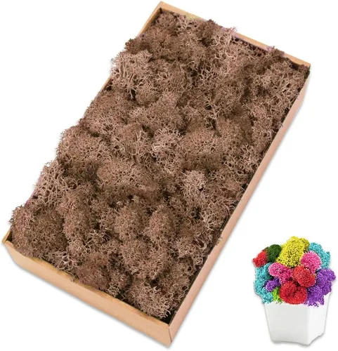 Miniatura 19 de Musgo de reno amarillo preservado de 3.5 onzas para plantas en maceta, decoración artesanal para arte de pared, musgo falso para decoración