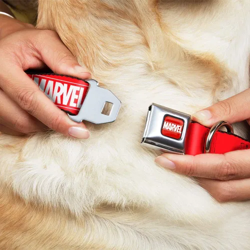 Miniatura 8 de Buckle-Down Collar de perro hebilla de cinturón de seguridad Marvel Red Brick Logo Rojo Blanco 9 a 15 pulgadas 1.0 pulgadas de ancho, multicolor