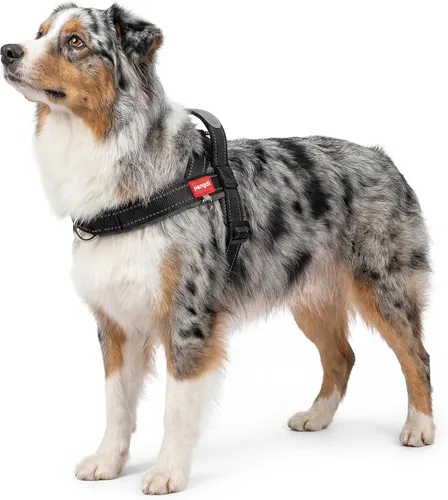 Arnés para perro sin tirón con asa, chaleco reflectante ajustable Corgi, arnés para mascotas acolchado con malla de aire transpirable con clip de