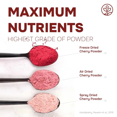 Miniatura 4 de Jungle Powders Polvo de cereza agria liofilizado para batido de 3.5 onzas, cerezas en polvo sin azúcar, sin aditivos y sin relleno, extracto