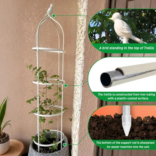 Miniatura 2 de Enrejado de jardín para plantas trepadoras, tubo de metal inoxidable con soporte resistente de 6 pies, soporte para plantas en maceta para jardín