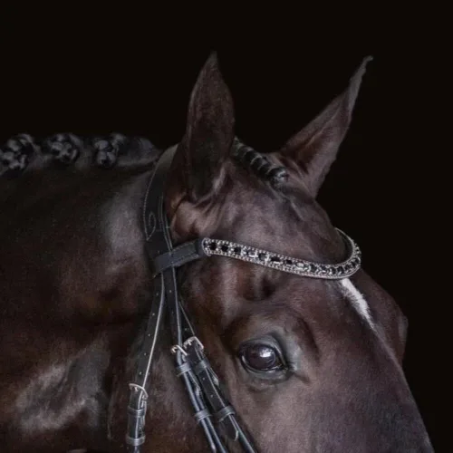 Miniatura 3 de Audrey' Brida de Cuero de Lujo - (Doble) Black Warmblood