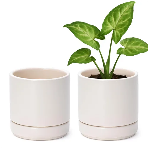 Miniatura 30 de D'vine Dev - Juego de 2 macetas de plantas de 3.5 pulgadas, maceta de cerámica para plantas con agujero de drenaje y platillo, negra, 94-V-A-2