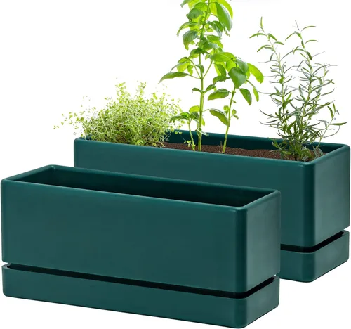 Miniatura 8 de D'vine Dev - Maceta para ventana de 12 pulgadas, maceta rectangular de plástico para hierbas con agujeros de drenaje y plato, maceta de suculentas