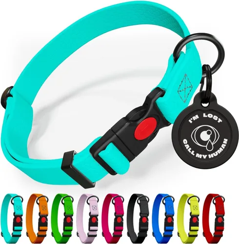 Collar de perro ajustable con código QR identificación adjunta, fabricado en Estados Unidos, collar de perro resistente al agua con hebilla de