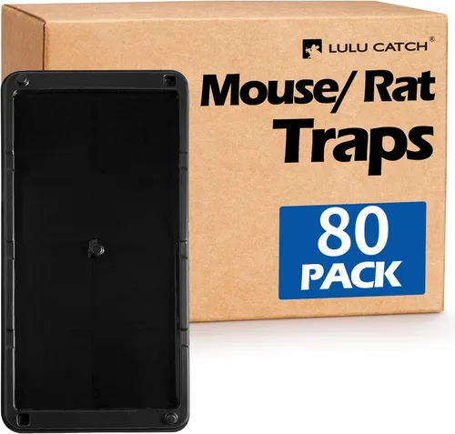 Miniatura 17 de LULUCATCH, trampas para ratones, 6 unidades de trampas grandes de pegamento para interiores para el hogar, tablas de pegamento a granel pre-cebadas