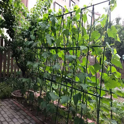 Miniatura 6 de Estacas de metal resistentes para plantas de jardín de 4 pies, varillas de acero recubierto de plástico, paquete de 25