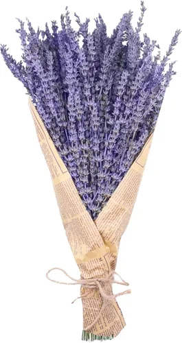 Uieke Paquetes de lavanda seca, flores de lavanda secas naturales, 150 tallos de 15 a 17 pulgadas para ducha, hogar, fragancia, deshierbe,