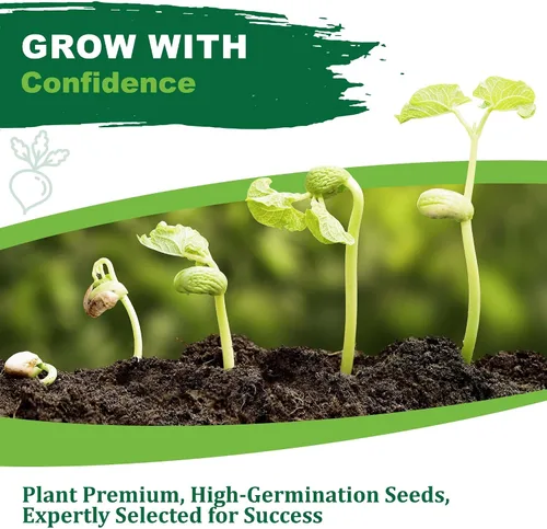Miniatura 4 de TKE Farms & Gardens - Semillas de ruda para plantar, 1 gramo, 500 semillas autóctonas, sin transgénicos, instrucciones incluidas, Ruta graveolens