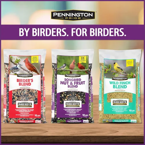 Miniatura 7 de Pennington - Songbird Nut & Fruit - Mezcla de semillas para pájaros silvestres, 10 libras