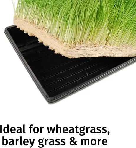 Miniatura 4 de Micro-Mat Minis - Almohadillas hidropónicas de cultivo - para producción orgánica - germinación de plantas y semillas: pasto de trigo, microverdes