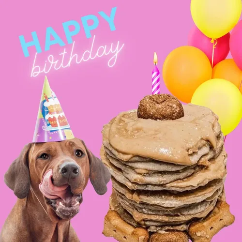 Miniatura 6 de BUDDY BUDDER Panqueques de cumpleaños de Bash Pooch - Regalo divertido, brunch con tu cachorro, o apilarlos para cumpleaños de perro con vela, 100%