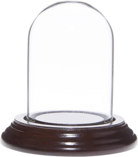 Miniatura 4 de Plymor 2" x 3" Mini cristal Display Dome Cloche (base de chapa de madera negra)