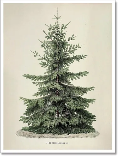 Miniatura 14 de Huabsad Arte de pared vintage de Navidad, regalos retro para niños, niñas lindas abrazando ciervos, impresiones estéticas de imágenes rústicas