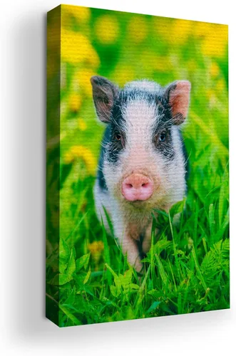Miniatura 69 de Mavis Print - Lienzo decorativo para pared con diseño de conejo/conejo, 36 x 36 pulgadas, decoración de pared de animales impresos en HD y marco