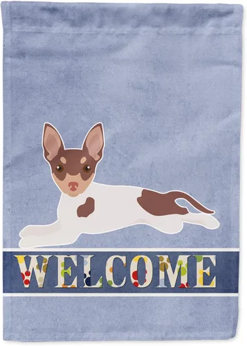Miniatura 13 de Caroline's Treasures CK3647CHF - Bandera de bienvenida con diseño de bulldog francés, manga grande, para porche, para colgar en la pared, poliéster