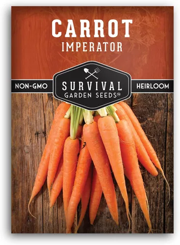 Imperator 58 Semillas de zanahoria para plantar, paquete con instrucciones para plantar y cultivar zanahorias Danvers galardonadas en tu huerto