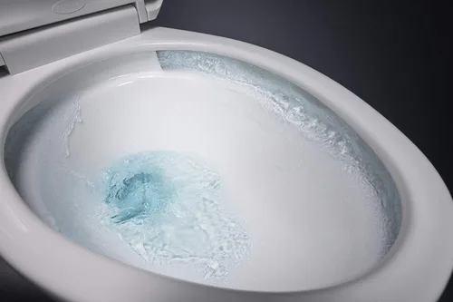 Miniatura 5 de KOHLER Cimarron Comfort - Cuenco para inodoro con altura alargada para silla Biscuit