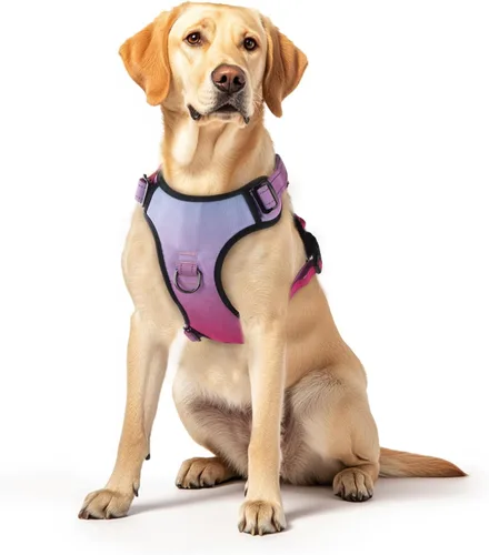 Miniatura 10 de Arnés para perro sin tirones, chaleco reflectante ajustable con clip delantero/trasero, asa de fácil control para perros de tamaño mediano, grande
