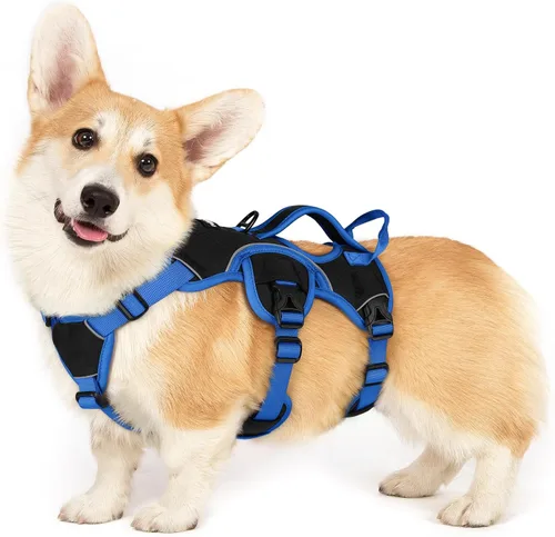 Miniatura 56 de rabbitgoo - Arnés para perro a prueba de fugas, arnés para mascotas acolchado suave de cuerpo completo, chaleco reflectante ajustable sin tirones