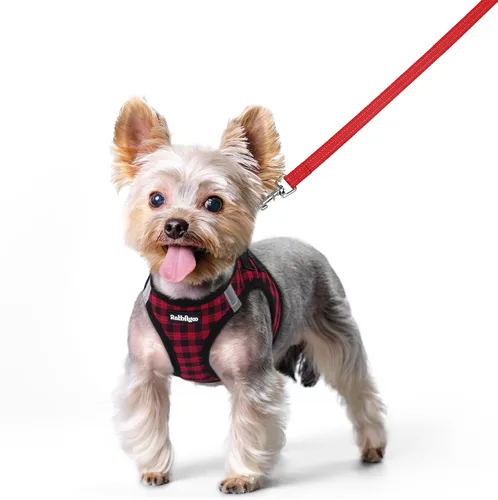 Miniatura 117 de rabbitgoo Juego de arnés para perro de tamaño pequeño y correa, chaleco ligero suave para cachorro, arnés de malla transpirable para mascotas