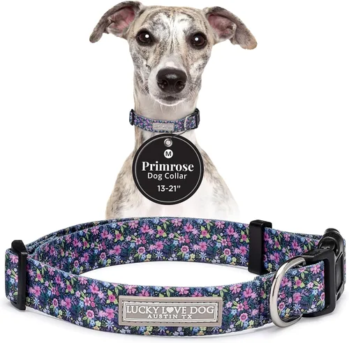 Miniatura 45 de Lucky Love Dog - Collar para perras pequeñas, diseño Blackbird de estampado alegre con flores de primavera y verano, talla XS