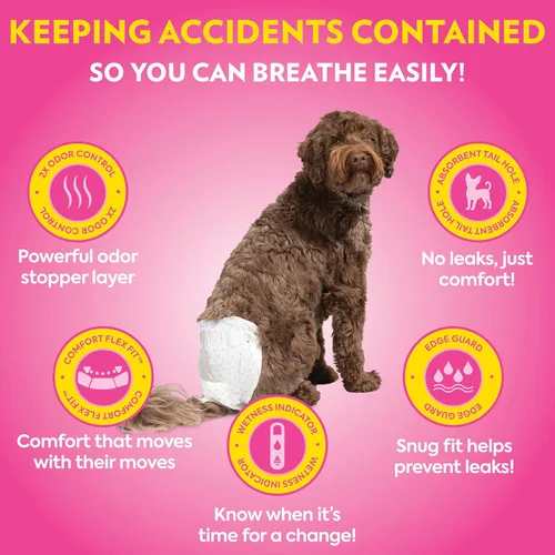 Miniatura 3 de OUT! Petcare - Pañales desechables para perros hembra, entrenamiento para ir al baño, pañales para perros, entrenamiento de cachorros, suministros