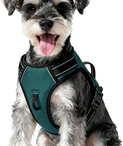 Miniatura 143 de Arnés para perro sin tirones, chaleco reflectante ajustable y acolchado para mascotas con asa de fácil control, fácil de llevar con nudo elegante