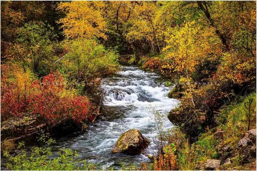 Miniatura 7 de Black Hills Photography Print (Not Framed) Picture of Creek Surrounded by Fall Foliage on Autumn Day in Spearfish Canyon South Dakota Nature Wall