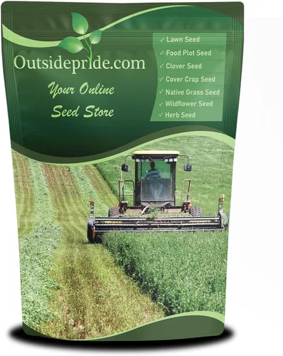 Outsidepride Semillas de alfalfa perenne para plantar - 1 libra de alto rendimiento, nitrorevestidas, inoculadas, semillas de leguminosas de forraje