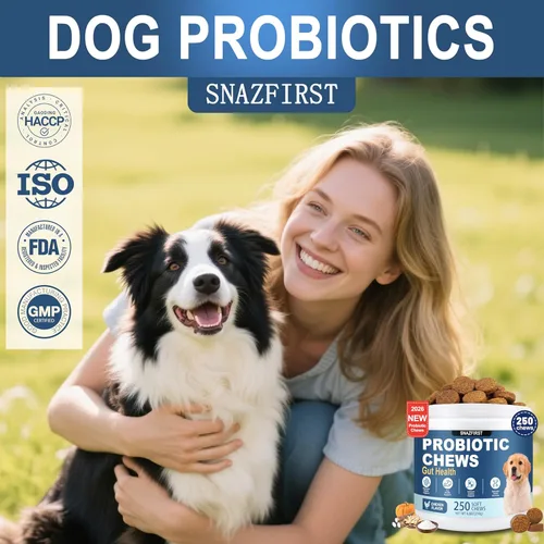 Miniatura 6 de Probióticos para Perros, Masticables Probióticos para Perros para la Salud Digestiva y la Salud Intestinal, Mejoran el Sistema Inmunológico, Alivio